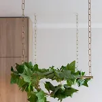 Lubostron Park By Renters